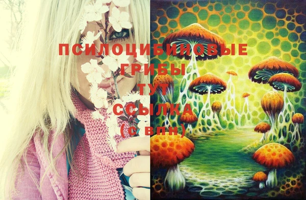 MDMA Алзамай