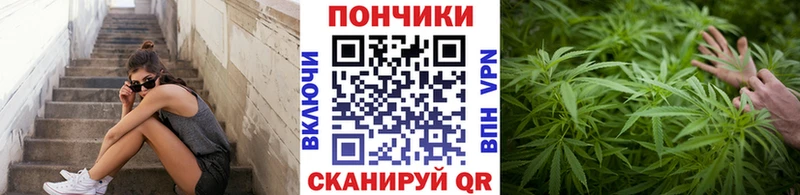 Бошки Шишки планчик  мега онион  Воткинск 
